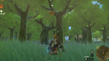 Miel de abeja Totk Courser en las ramas de los árboles de Hickaly Woods