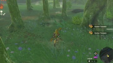 Totk Dinero Fácil Tomate Hylian