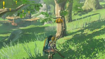 Miel de abeja Totk Courser colgando del árbol