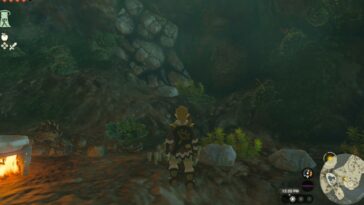 Totk Pit Cueva Rana Pared de roca