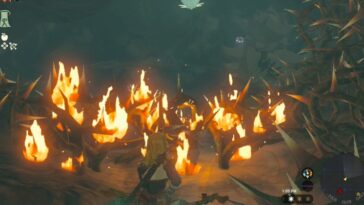 Totk Hebra South Summit Cave Frog Burning Thorns para entrar en la cámara