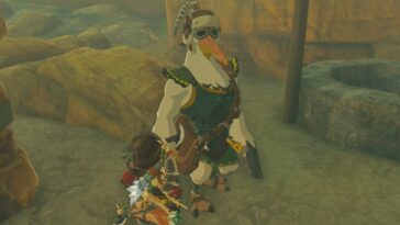 Totk Gerudo Canyon Pozo estable Reunión Penn