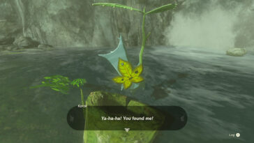 Rompecabezas de corcho de Korok de Tears Of The Kingdom resuelto