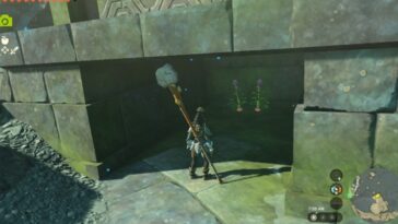 Totk Abundante Rábano En Wellspring Island