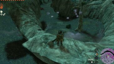 Totk Sea Breeze Shield en el pecho cerca de Evermean Enemy In Depths