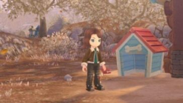 Cómo obtener más atuendos en Story Of Seasons A Wonderful Life