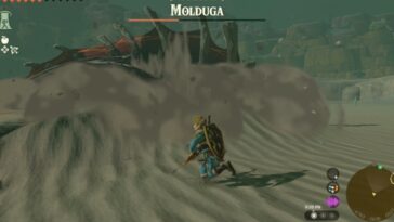 Totk Gerudo Desierto Molduga Batalla Primer plano