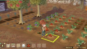 Story Of Seasons Una vida maravillosa Cuánto tiempo para crecer todos los cultivos