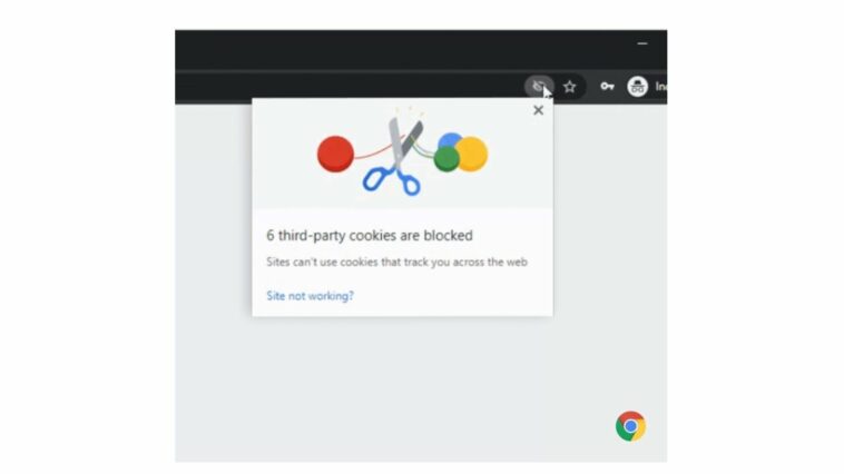 Parece que Google no puede eliminar las cookies y retrasa su eliminación nuevamente