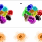 Los científicos descubren vulnerabilidades de inspiración cuántica en las redes neuronales: el papel de las variables conjugadas en los ataques al sistema