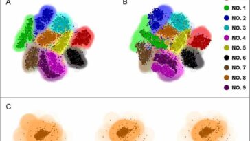 Los científicos descubren vulnerabilidades de inspiración cuántica en las redes neuronales: el papel de las variables conjugadas en los ataques al sistema