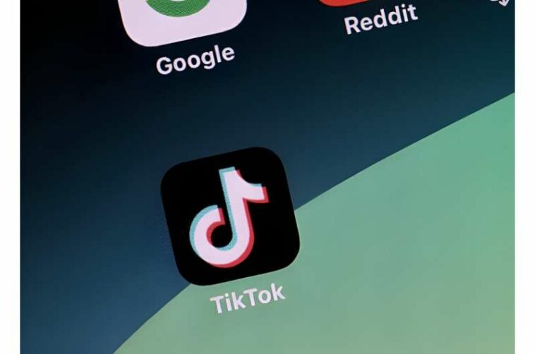 Los activistas dicen que TikTok no pudo detectar anuncios plagados de desinformación electoral.