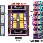 Investigadores desarrollan un dispositivo de última generación para hacer que la inteligencia artificial sea más eficiente energéticamente