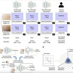 Cómo el hardware contribuye a la equidad de las redes neuronales artificiales