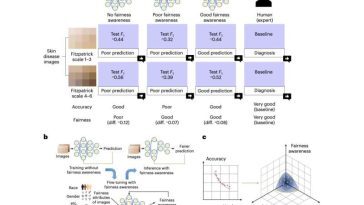 Cómo el hardware contribuye a la equidad de las redes neuronales artificiales
