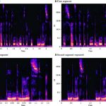 Investigadores exponen la vulnerabilidad de los modelos de reconocimiento de emociones del habla a ataques adversarios