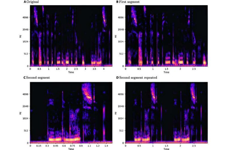 Investigadores exponen la vulnerabilidad de los modelos de reconocimiento de emociones del habla a ataques adversarios