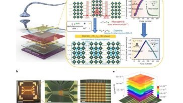 Investigadores de SNU desarrollan hardware neuromórfico de potencia ultrabaja para computación de IA