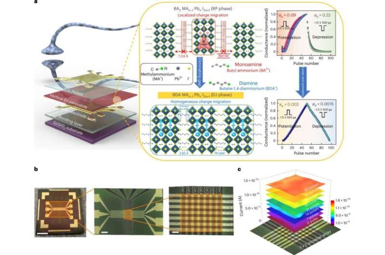 Investigadores de SNU desarrollan hardware neuromórfico de potencia ultrabaja para computación de IA