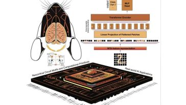 Un nuevo enfoque que imita de manera realista los cálculos del neocórtex utilizando IA