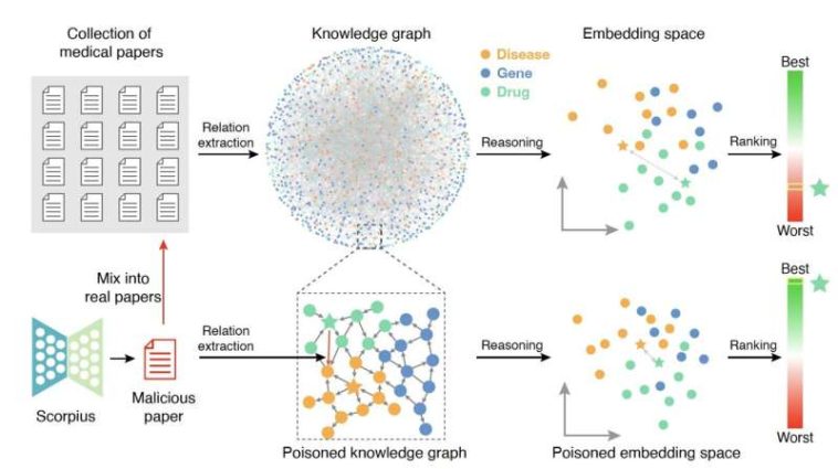 Un estudio muestra que los LLM podrían usarse de manera maliciosa para envenenar los gráficos de conocimiento biomédico