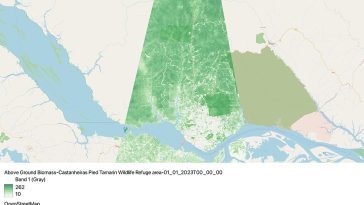 Un mapa satelital que muestra la estimación de la biomasa aérea para los esfuerzos de sostenibilidad.