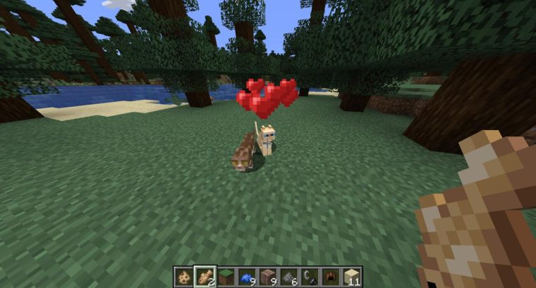 Domar dos gatos en Minecraft