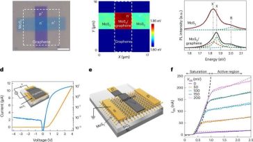 Un transistor de unión interfacial de van der Waals de puertas múltiples para crear controladores difusos reconfigurables