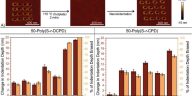 El almacenamiento de datos de alta densidad aumenta el rendimiento y la sostenibilidad