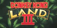 Nintendo agrega otro juego de Donkey Kong para cambiar en línea, y todavía no es DK 64