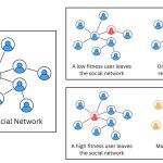 Reladre el queso de las redes: la nueva herramienta encuentra puntos críticos en todo, desde ciberseguridad hasta conservación ecológica