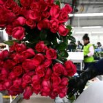 Se aconseja a las personas que sean 'cortésmente paranoicas' al hacer conexiones potencialmente románticas con extraños en línea para evitar ser estafados