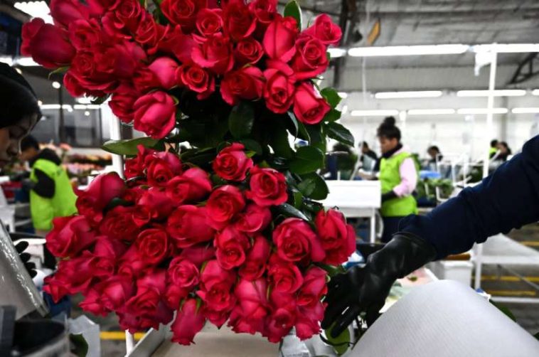 Se aconseja a las personas que sean 'cortésmente paranoicas' al hacer conexiones potencialmente románticas con extraños en línea para evitar ser estafados