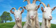 Los desarrolladores de Simulador de cabras anuncian Goat Direct, y no estamos bromeando