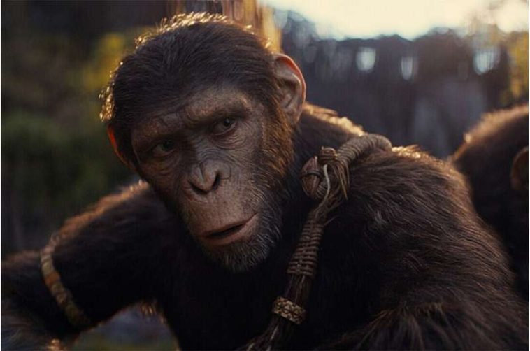¿Los Oscar van a los plátanos? Un animador explica por qué los simios digitales son los verdaderos ganadores de los premios 2025