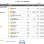 Ventana de recuperación de datos estelar que muestra archivos recuperables