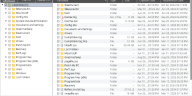 Ventana de recuperación de datos estelar que muestra archivos recuperables