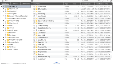Ventana de recuperación de datos estelar que muestra archivos recuperables