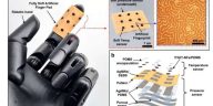 Piel electrónica habilitada para huellas digitales con seguridad mejorada