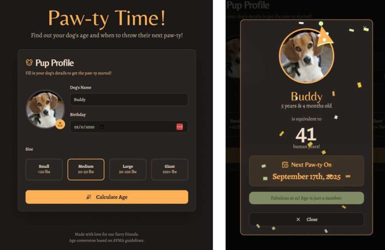 Interfaz de entrada y resultado exitoso en la aplicación de tiempo de pata codificada por Firebase Studio