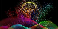 código de cerebro