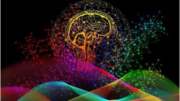 código de cerebro