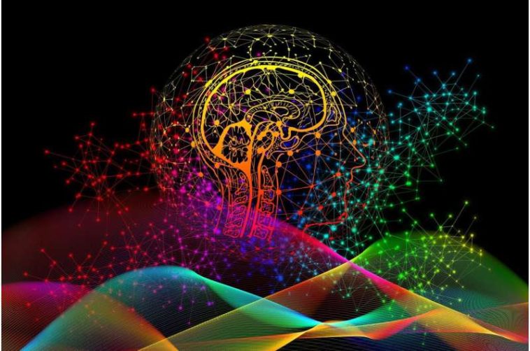código de cerebro