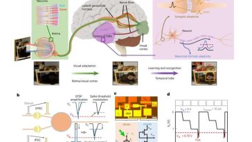 Una neurona artificial para la computación neuromórfica basada en el disulfuro de molibdeno monocapa