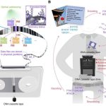 Las cintas de cassette de ADN podrían resolver problemas globales de almacenamiento de datos