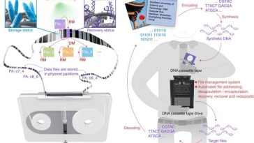Las cintas de cassette de ADN podrían resolver problemas globales de almacenamiento de datos