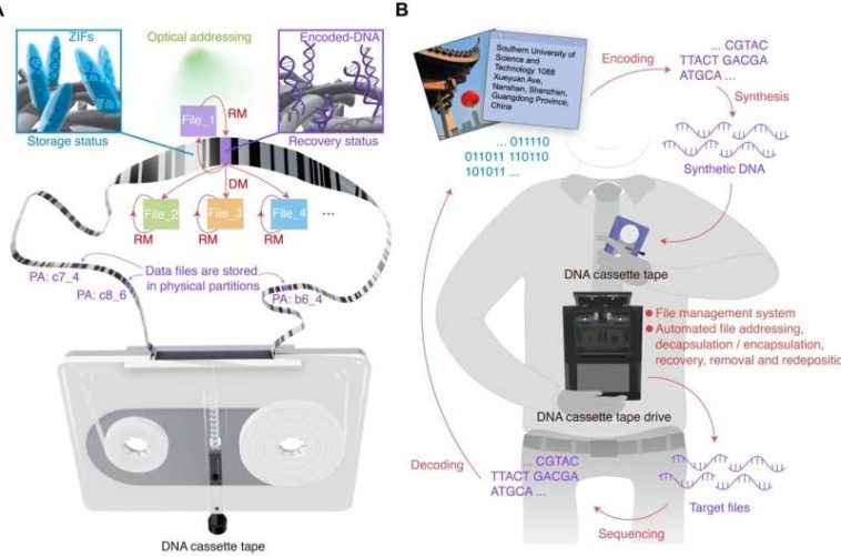 Las cintas de cassette de ADN podrían resolver problemas globales de almacenamiento de datos