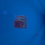 El nuevo soporte submarino, el Nautilus.