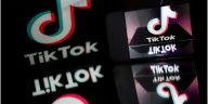 Los legisladores franceses han expresado preocupaciones particulares sobre los daños planteados por Tiktok, ya que pidieron un 'toque de queda digital' para menores