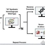AI podría facilitar la creación de biowapons que eviten los protocolos de seguridad actuales